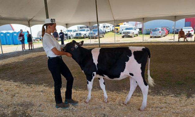 Farming-inspired fun at the Lachute Fair