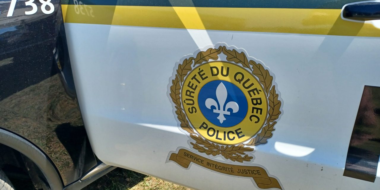 Numerous violations found during vehicle safety operation in Grenville-sur-la-Rouge