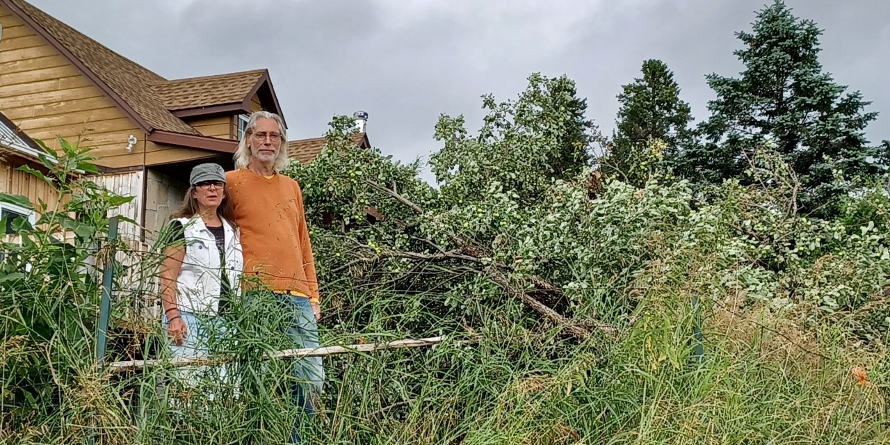 Tornado touches down in Harrington