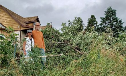 Suspected tornado in Harrington