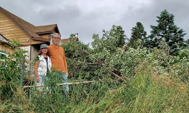 Suspected tornado in Harrington