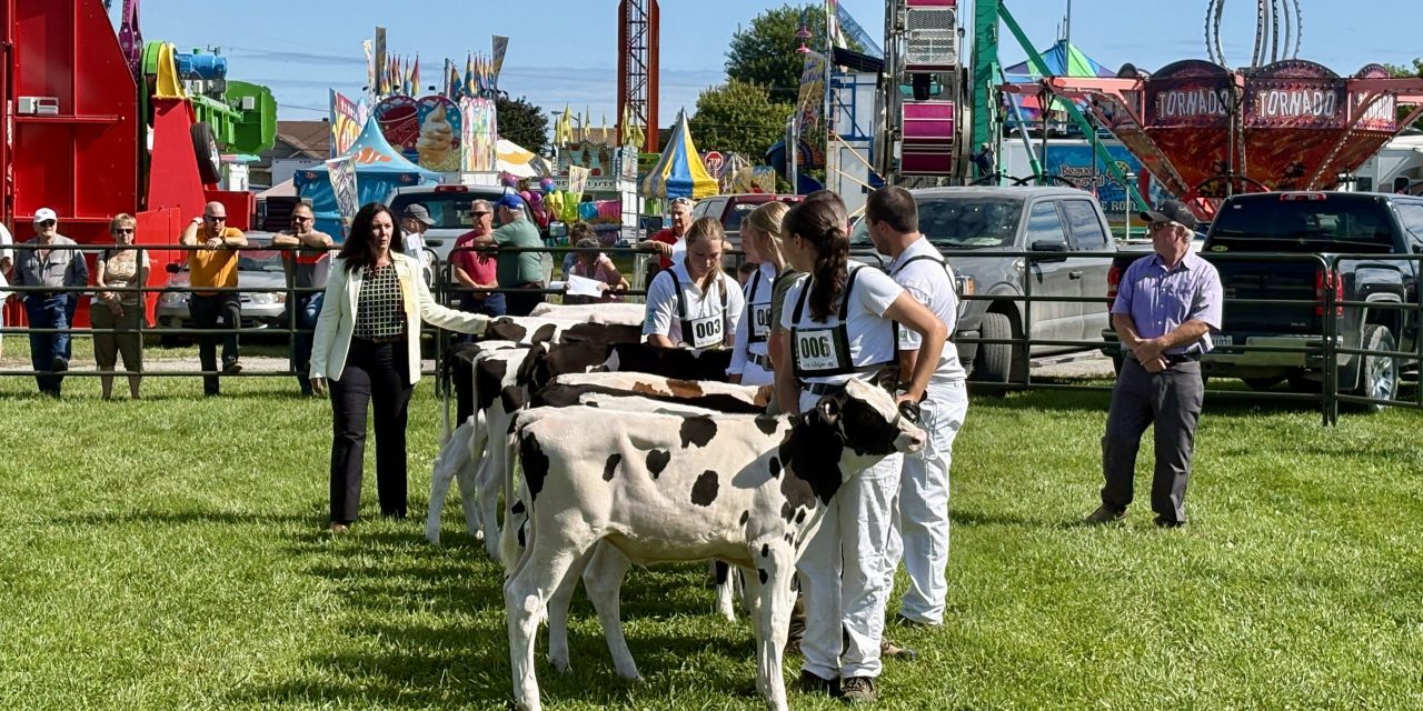 A small-town fair with a lot of heart in Vankleek Hill
