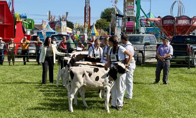 A small-town fair with a lot of heart in Vankleek Hill