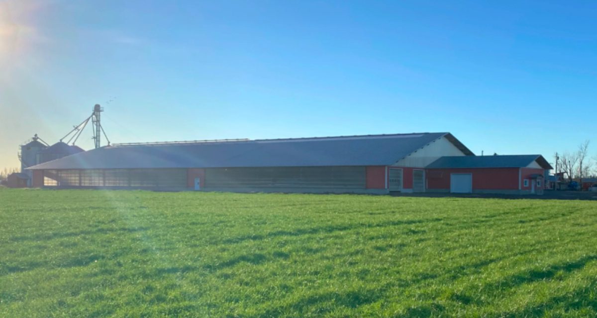 Despite wet start, local farmer optimistic about crop season