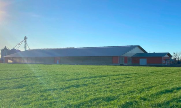 Despite wet start, local farmer optimistic about crop season