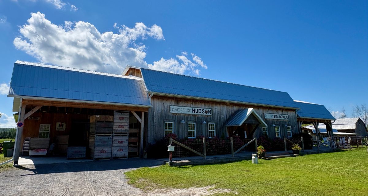The work behind the apples at Le Verger de Hudson Biologique