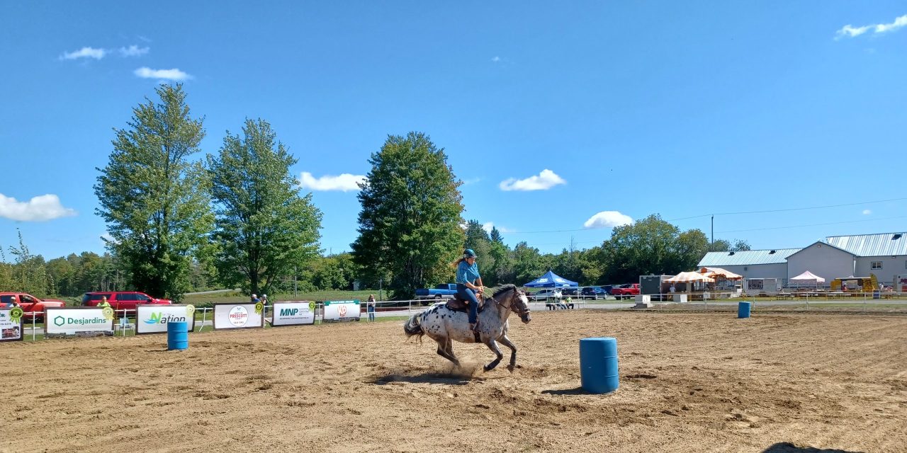 Country flair at Riceville Fair