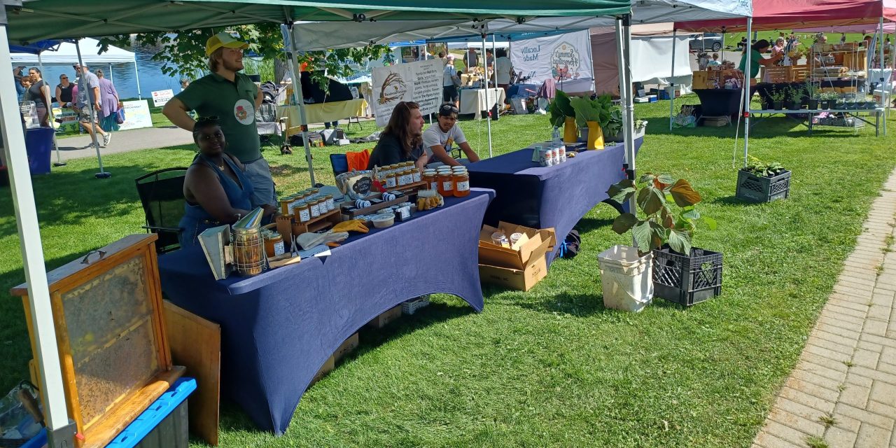 Everything about honey and pollinators at festival in Alexandria
