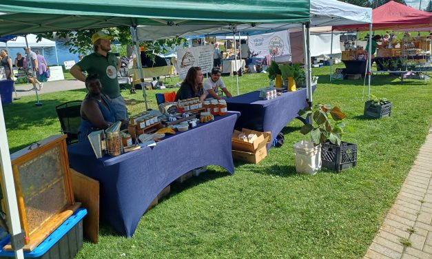 Everything about honey and pollinators at festival in Alexandria