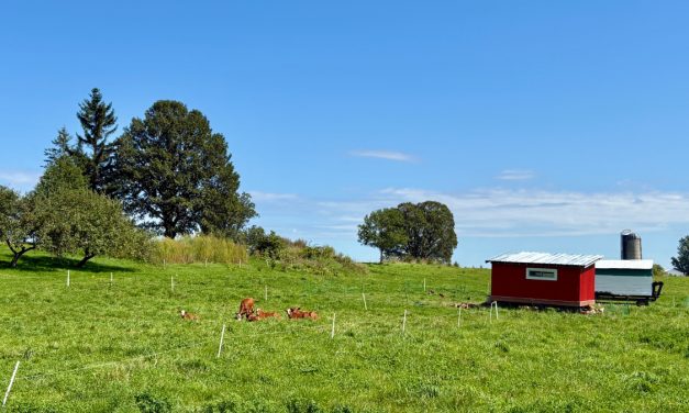 Kirkview Farms embraces regenerative agriculture to build a resilient future
