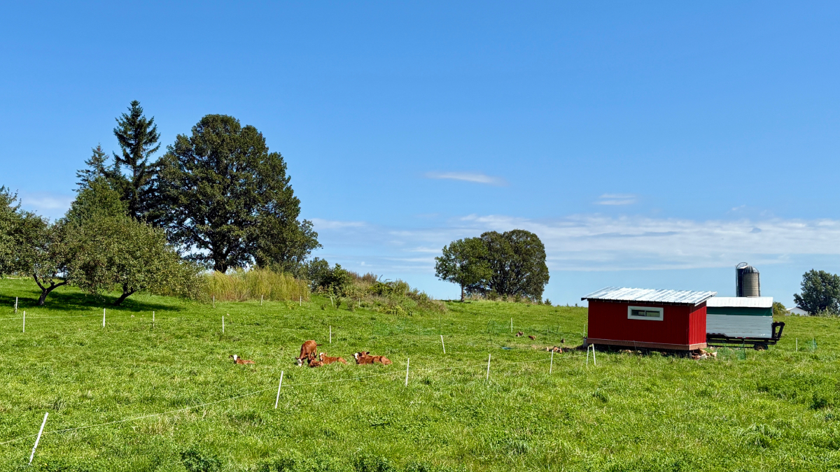 Kirkview Farms embraces regenerative agriculture to build a resilient future