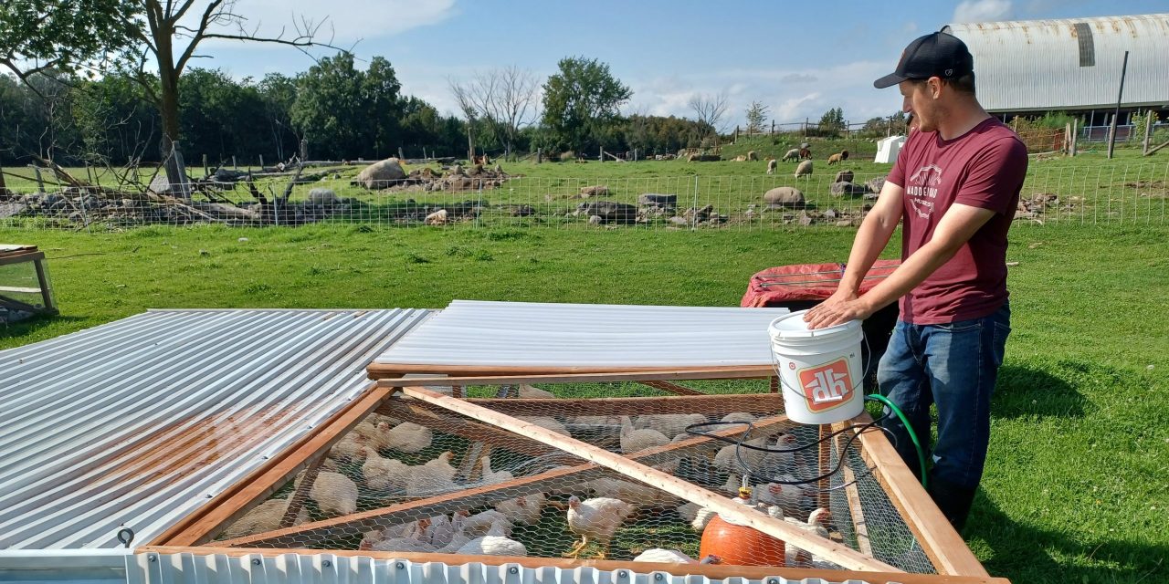 Glen Robertson farmers face frustration with Artisinal Chicken Program