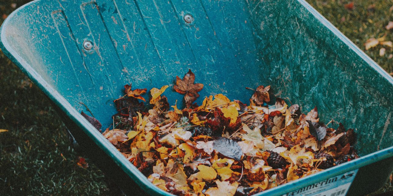 Temporary Fall organic waste drop-off for Champlain residents