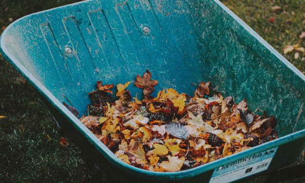 Temporary Fall organic waste drop-off for Champlain residents