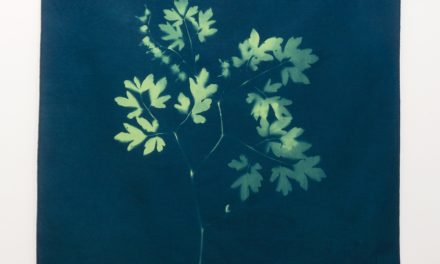The Arbor Gallery Presents: Textilian / Textilia & In The Heart Of The Wilderness