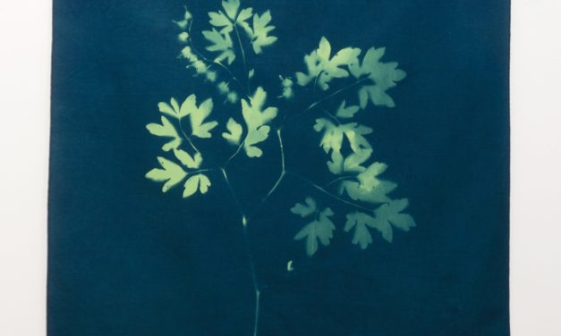 The Arbor Gallery Presents: Textilian / Textilia & In The Heart Of The Wilderness