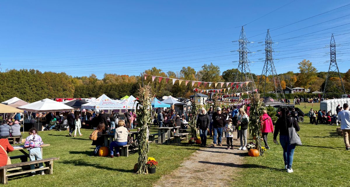 Saint-André-d’Argenteuil hosts eighth annual Pumpkin Festival
