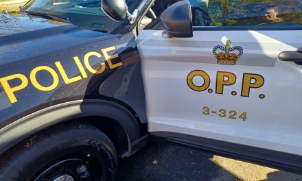 Drug charges following traffic stop in Hawkesbury