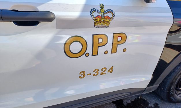 Driver arrested following assault of officer and impaired investigation in Clarence-Rockland