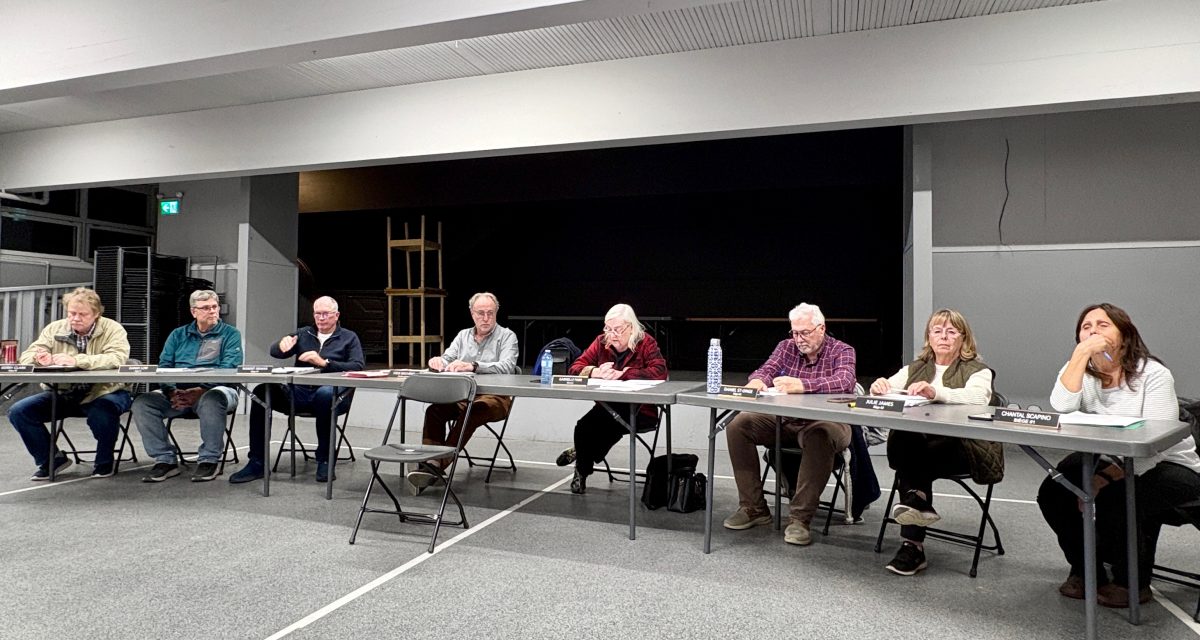 Harrington Council votes unanimously to maintain current fire taxation method