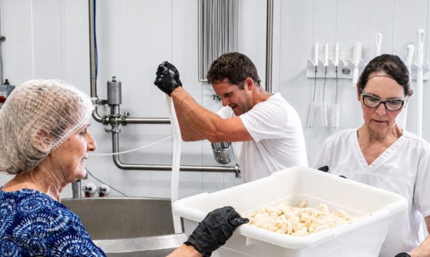Glengarry Fine Cheese earns multiple honours at the Royal