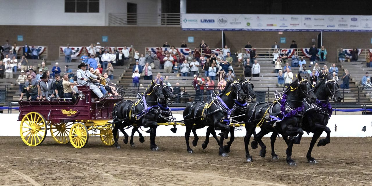 Wilson horses head to Royal after world championship win