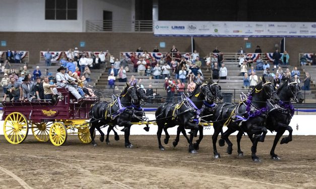 Wilson horses head to Royal after world championship win