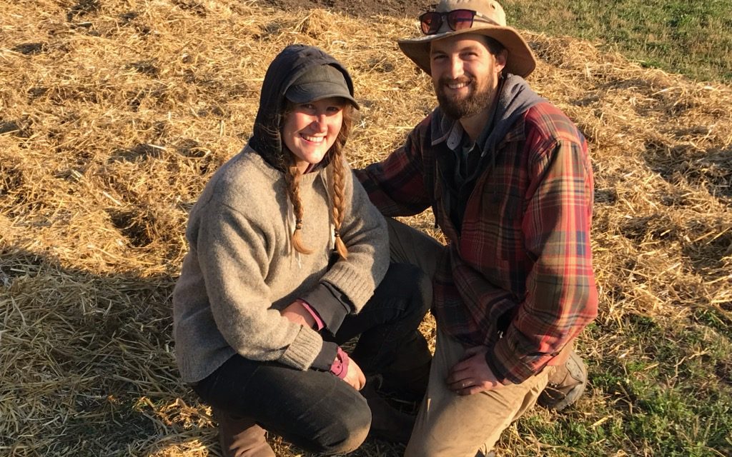 No-till soil management