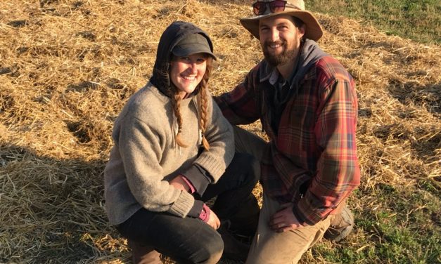 No-till soil management