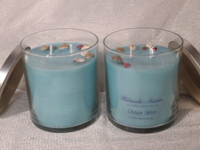 Seashell Embed Candle, 8oz