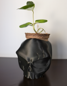 Skull Planter