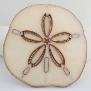 Nightlight, Sanddollar