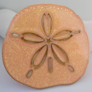 Nightlight, Sanddollar