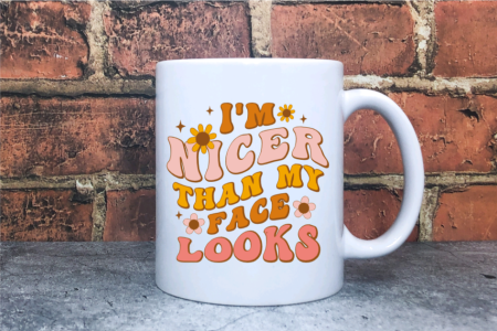 Nicer Than My Face Mug