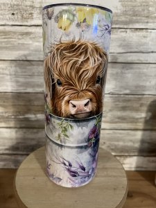 Brown Highland cow in water tub