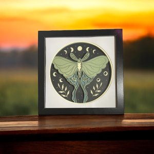 3D Layered Moth Shadow Box