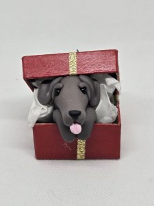 Weimaraner Dog in Gift Box Ornament ~ Bubaloo's Art