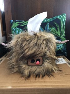 Highland Cow Tissue Box Holder
