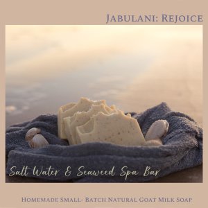 Salt Water & Seaweed Natural Goat Milk Soap Spa Bar