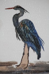 Blue Heron