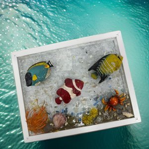 11x14 Framed Undersea Wonderland Vibrant Fish and Crab Coastal Wall Art. Beach