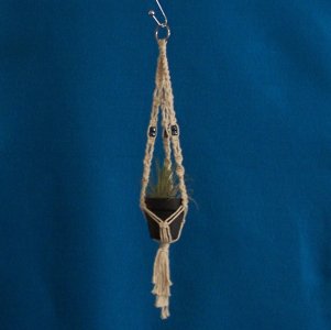 Mini Macrame Hanging Basket