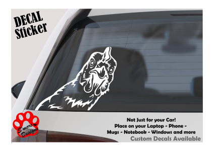 Chicken Decal Chicken Peaking Vinyl Stickers Bumper Stickers Vinyl Car Decal