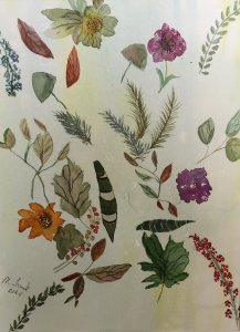 Botanical Study