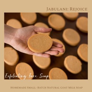 Exfoliating Baby (Your) Face Natural Goat Milk Soap