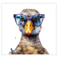 Duck8