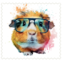 GuineaPig58