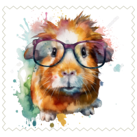 GuineaPig59