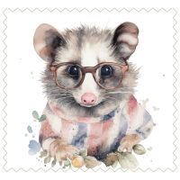 Possum7