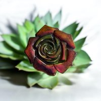 rose,gold,green